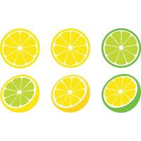 Six vibrant lemon and lime slices, perfect for summer designs and refreshing visuals. vector