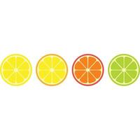 Four citrus fruit slices lemon, orange, grapefruit, lime. Vibrant colors, simple design. vector