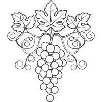 Elegant monochrome illustration of a grapevine with leaves and grapes. vector