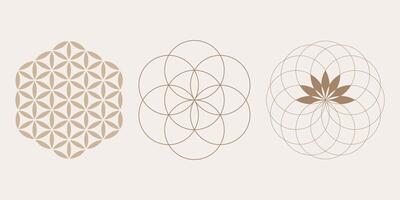 Yantra Mandala seed of life, Flower of Life, Mystical Lotus, set Sacred Geometry, symbols of harmony and balance. Retro style, illus isolated on white backgroundtration vector