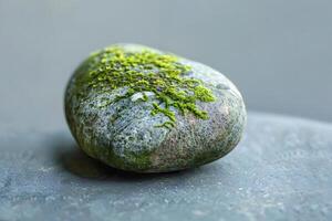 Moss-Covered Stone Rests on Smooth Surface A Study in Texture and Nature's Beauty, Showcasing the Serenity of Natural Elements and the Wonders of Microscopic Life photo
