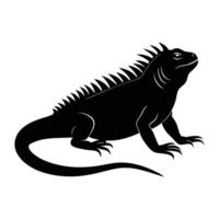 an iguana is shown in black and white on a white background vector