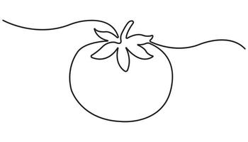 Continuous one-line drawing of fresh tomato, Minimalist food concept isolated on a white background, Tomato vegetable. Tomato single line illustration vector