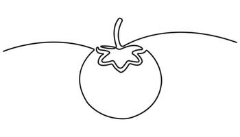 tomato continuous one line drawing, continuous line drawing Tomato vegetable vector