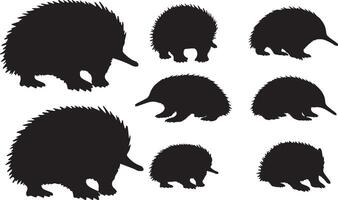 Silhouettes of echidna on white background vector