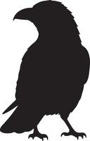 A black silhouette of a raven on a white background vector