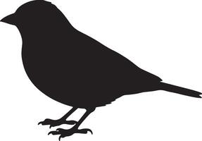 A silhouette of a Brambling standing on a white background vector