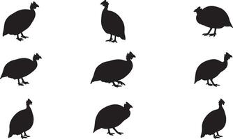 Set of silhouettes of different birds on white background vector