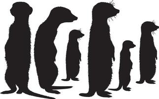 A group of meerkats standing in front of a white background vector