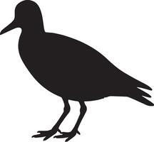 A black silhouette of a bird standing on a white background vector