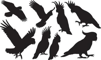 A set of silhouettes of various Cockatoo vector