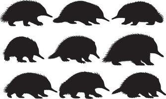 Silhouettes of echidna, including different sizes and shapes vector