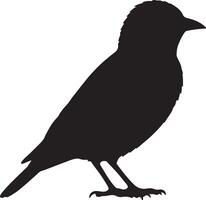 A black silhouette of a Bobolink on a white background vector
