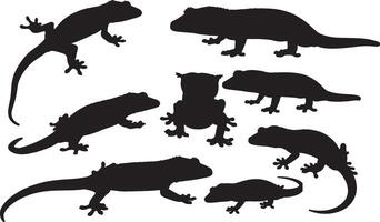 Crested Gecko set on white background vector