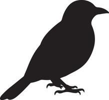 A black silhouette of a Catbird on a white background vector