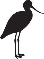A silhouette of a bird standing on a white background vector