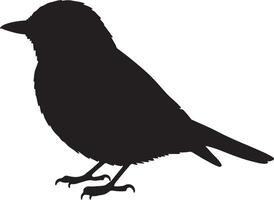 A black silhouette of a Flycatcher on a white background vector