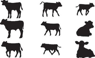 Silhouettes of cows and calves on a white background vector