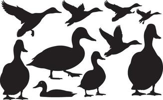 Ducks silhouettes set on white background vector
