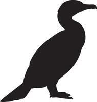 A silhouette of a Cormorant standing on a white background vector