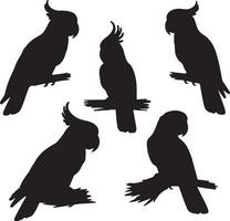 A set of silhouettes of parrots vector