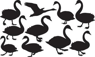 A set of silhouettes of swans on a white background vector