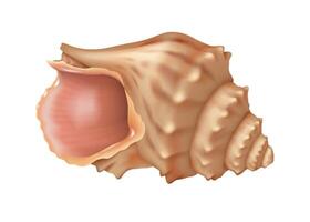 Realistic digital illustration of Triton seashell in soft brown colors showing natural beauty and intricate patterns on white backdrop ideal for marinethemed decor with copy space vector