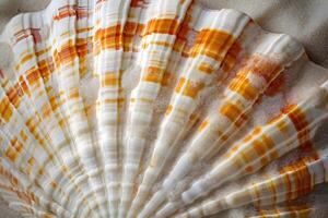 Seashell's Intricate Design A Close-Up Look at the Shell's Radiating Pattern, Featuring Vibrant Hues and Detailed Texture, Showcasing Nature's Artistic Mastery in Coastal Wonders. photo