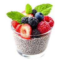 Nutrient-packed chia seed pudding with berries and mint detail Isolated on transparent Background png