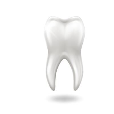 Detailed illustration of shiny healthy tooth with glossy surface isolated on white background perfect for dental care promotional materials and educational purposes with copy space
