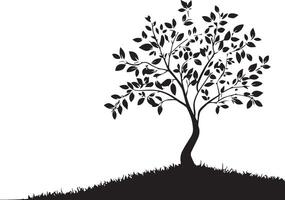 Tree silhouette outline on white background vector