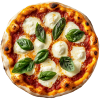 A perfect Margherita pizza with fresh basil and melted mozzarella, Isolated on transparent Background png