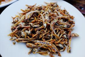 Crispy fried Anchovy fish intestines on white dish photo