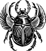 A black and white drawing of a beetle vector