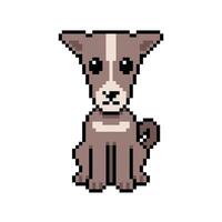 Pixel art a cute greyhound dog in retro style for design. vector