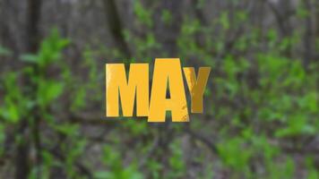 May, green 2d tex on green background, Animated 2d text on green background, letters motion video