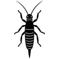 Black And White Earwig Insect vector