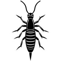 Black And White Earwig Illustration vector