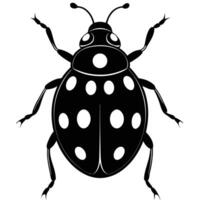 Ladybug Illustration Black And White Graphic Design Element vector
