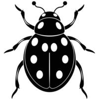 Ladybug Illustration With Transparent Background And Minimal Design vector