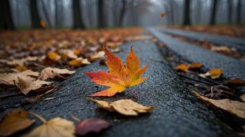 A vibrant autumn leaf rests on a path surrounded by fallen foliage in a misty forest. photo