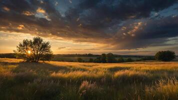 A serene sunset landscape with a tree, golden grass, and dramatic clouds. photo
