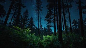 A serene night scene of a forest under a starry sky, illuminated by soft light on lush greenery. photo