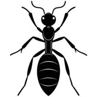 Black Ant Illustration Simple Isolated Insect Design vector