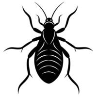Black And White Roach Illustration Simple Graphic vector