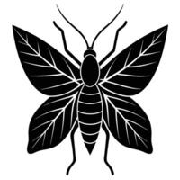 Black And White Butterfly With Leaf Wing Pattern Illustration vector