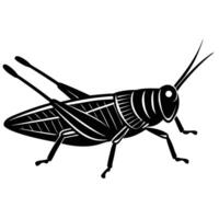Grasshopper Insect Graphic Design In Black And White vector