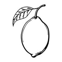 Simple Lemon Drawing With Leaf Black And White vector