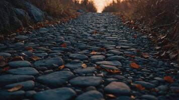 A winding path made of smooth stones, surrounded by autumn foliage and soft evening light. photo