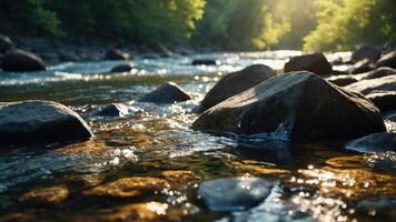 A serene river scene with smooth stones and sunlight filtering through trees. photo